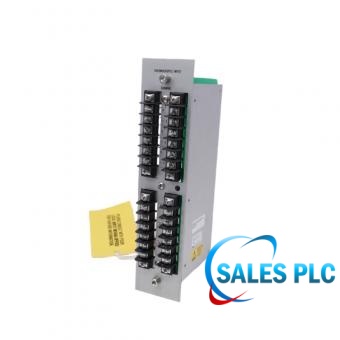 82367-01 Bently Nevada TC Input Module for 3300/30