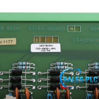 NEGTBCSA1 FEG-S032-J001