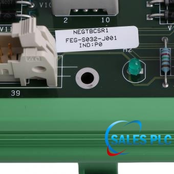 NEGTBCSR1 FEG-S032-J001