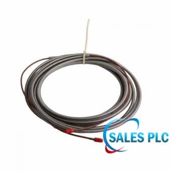 Bently Nevada 24710-080-01-00 product image