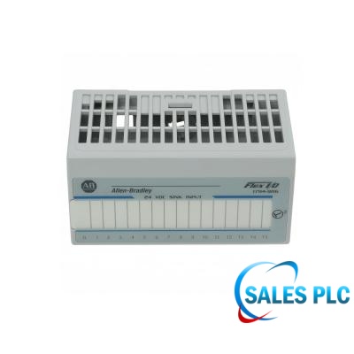 1794-IB16 PLC Sixteen-point 24 VDC sinking digital input module front side detail views