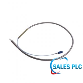 Bently Nevada 330910-00-24-10-01-CN probe view