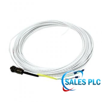 Bently Nevada CB2W100-064 product image