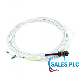 Bently Nevada CB2W100-125 product image